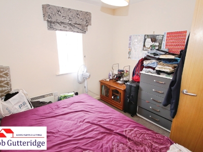 Picture 13